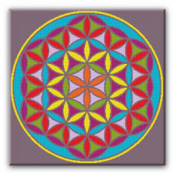 Blume des Lebens - Hindi