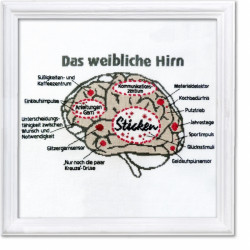 Das weibliche Hirn